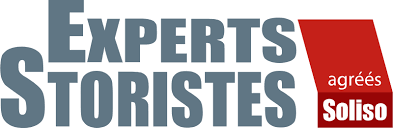 Experts Storistes
